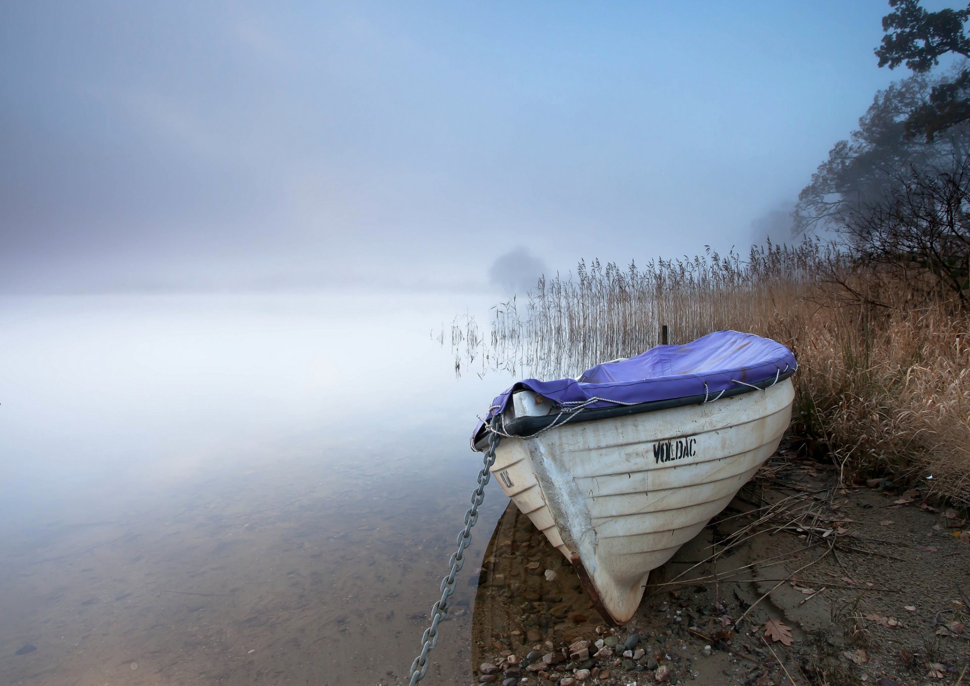 lago caña barco niebla