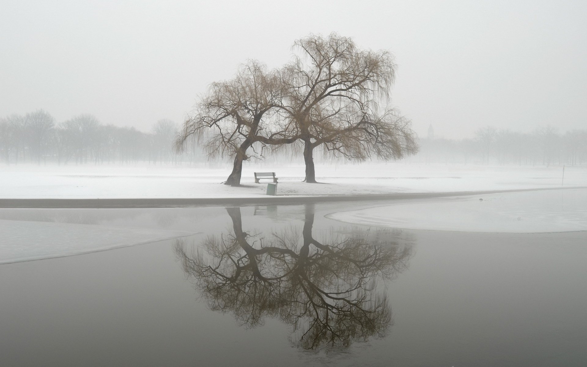 winter park nebel landschaft