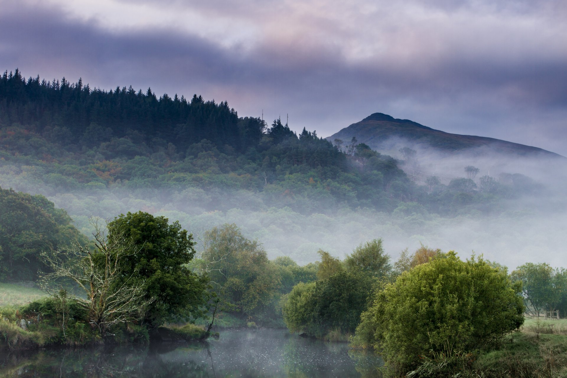 forest mountain lake morning fog haze