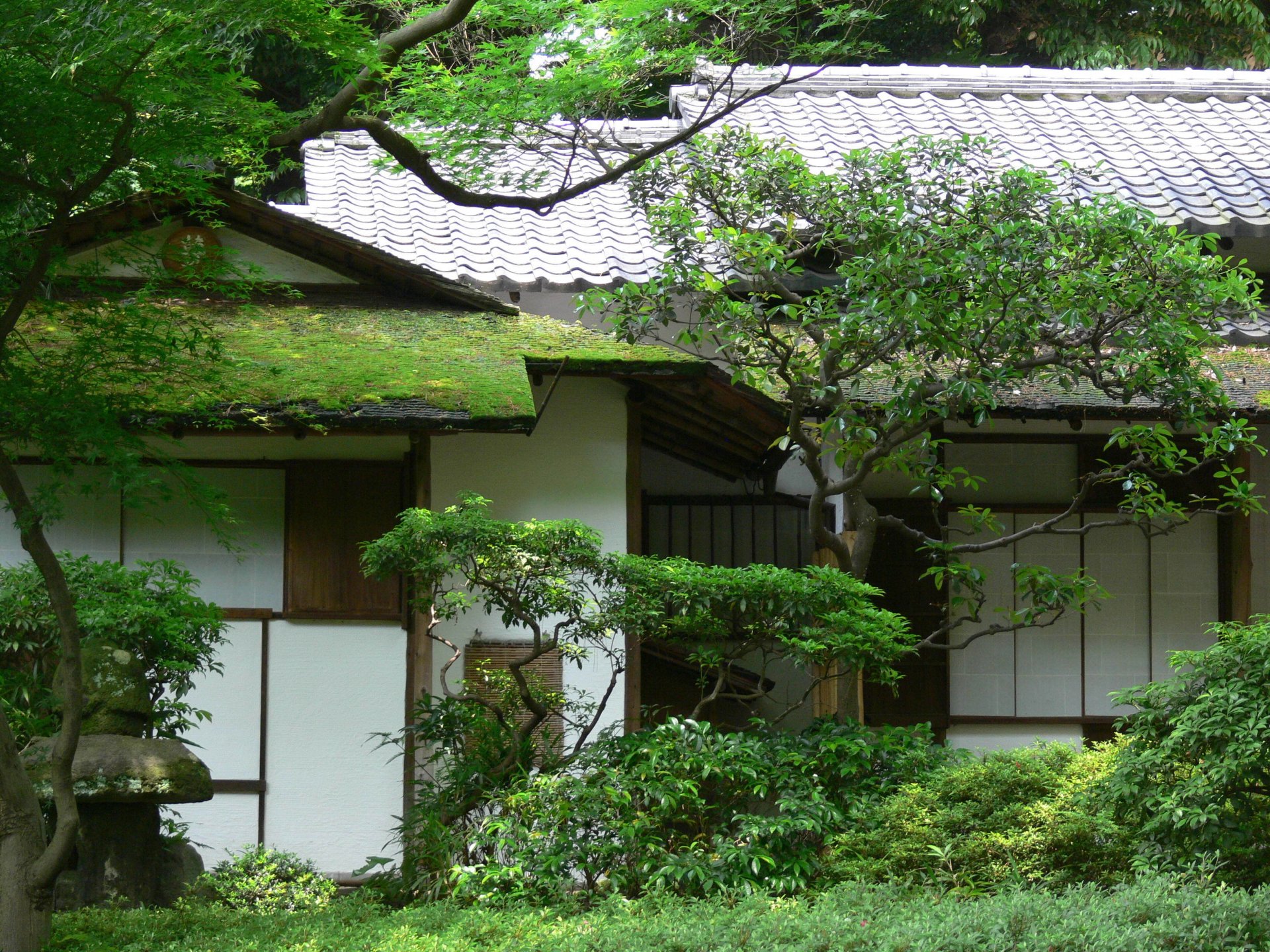 haus asien garten bäume grün moos dach dachziegel