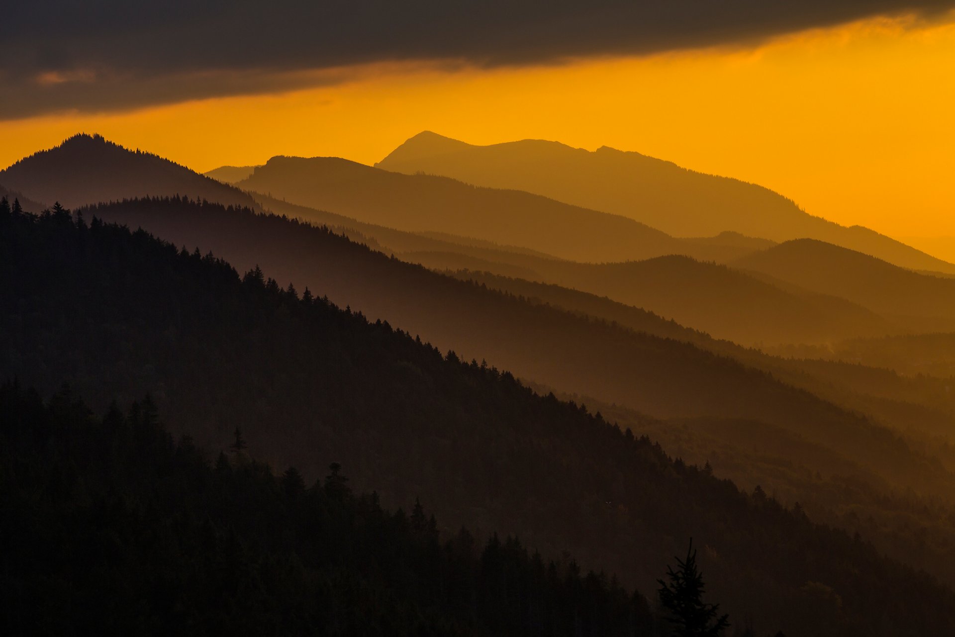 polonia montagne carpazi tramonto