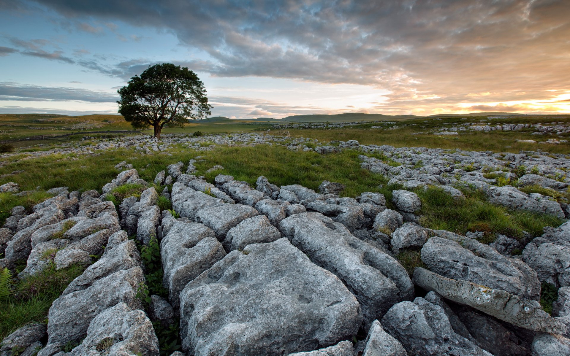 champ pierres arbre coucher de soleil paysage