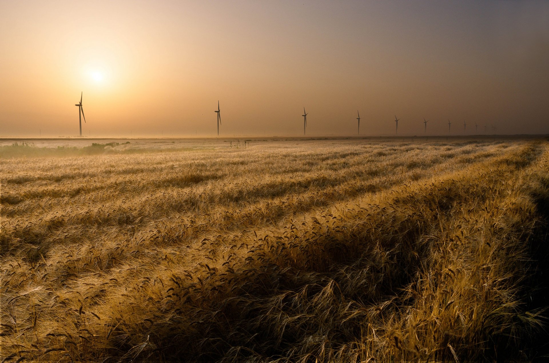 windräder feld horizont