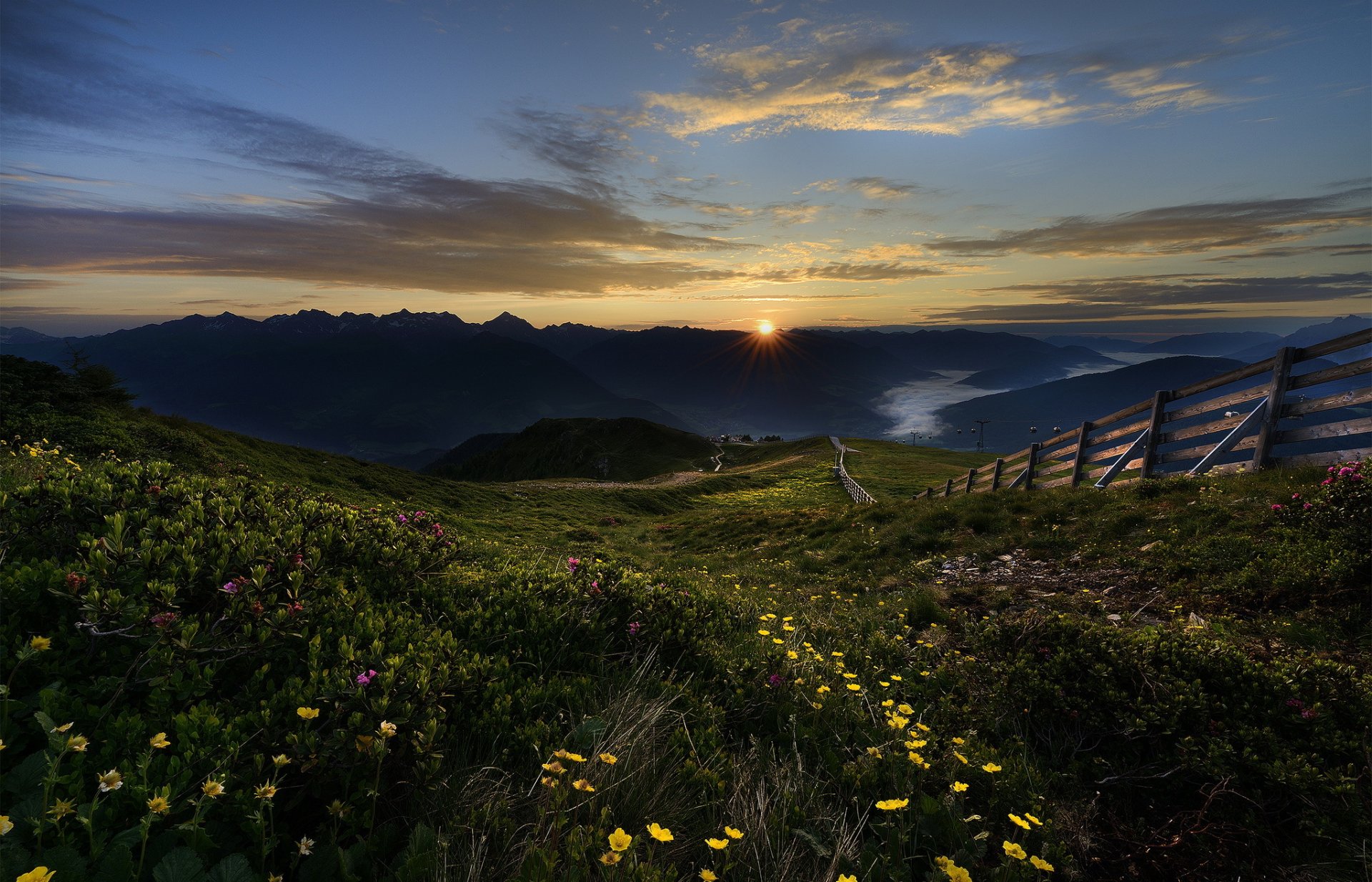 montagne recinzione fiori sole alba