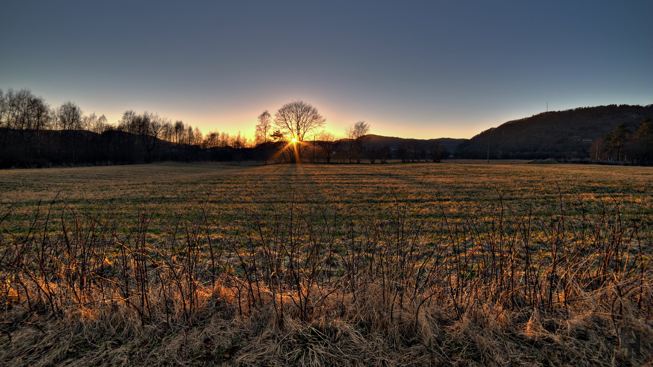 automne herbe sec arbre branches soleil coucher de soleil collines