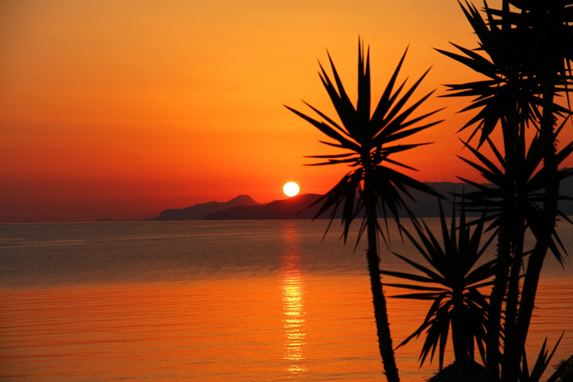 palmen berge meer sonnenuntergang