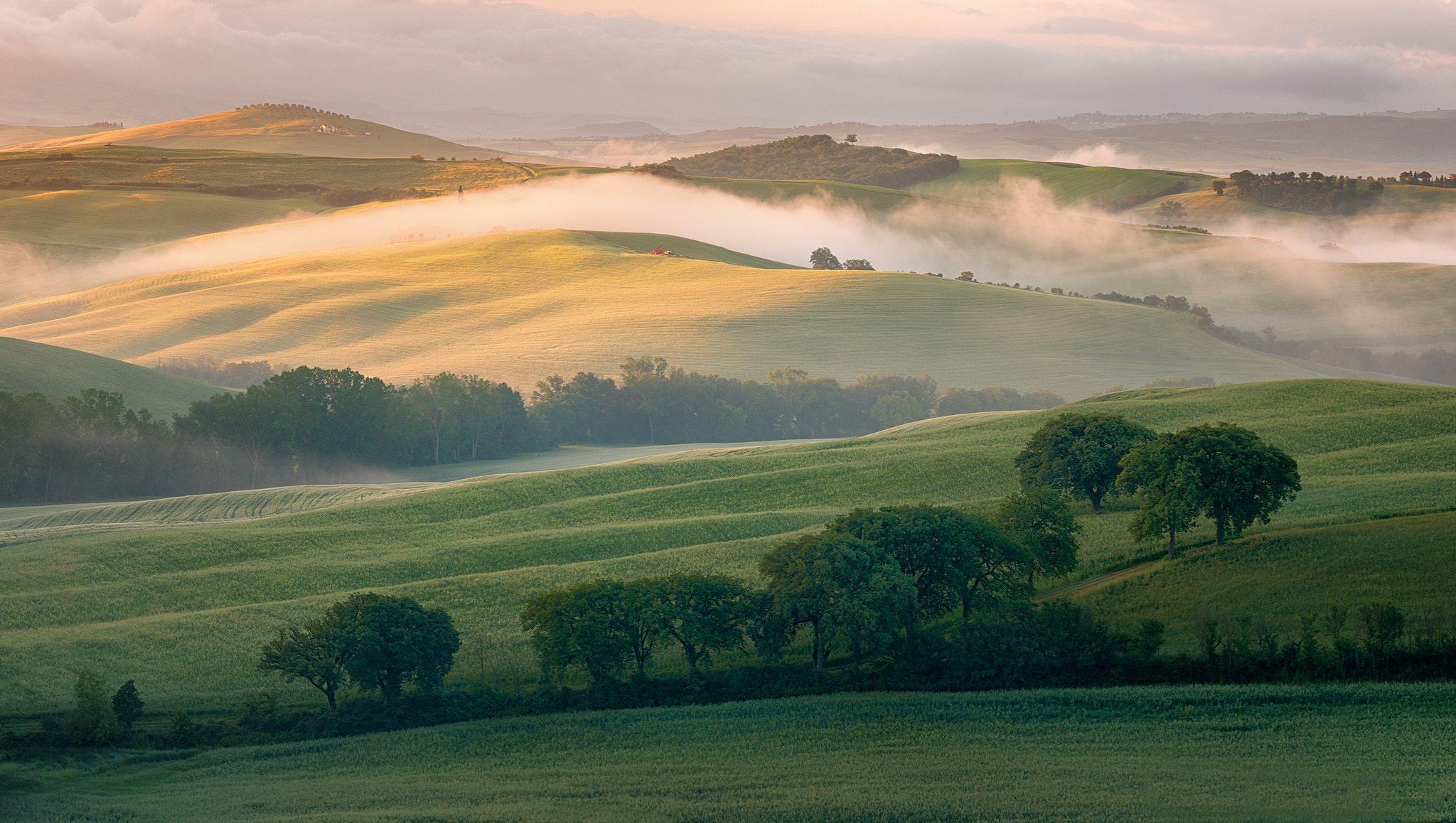 italien toskana hügel felder morgen nebel