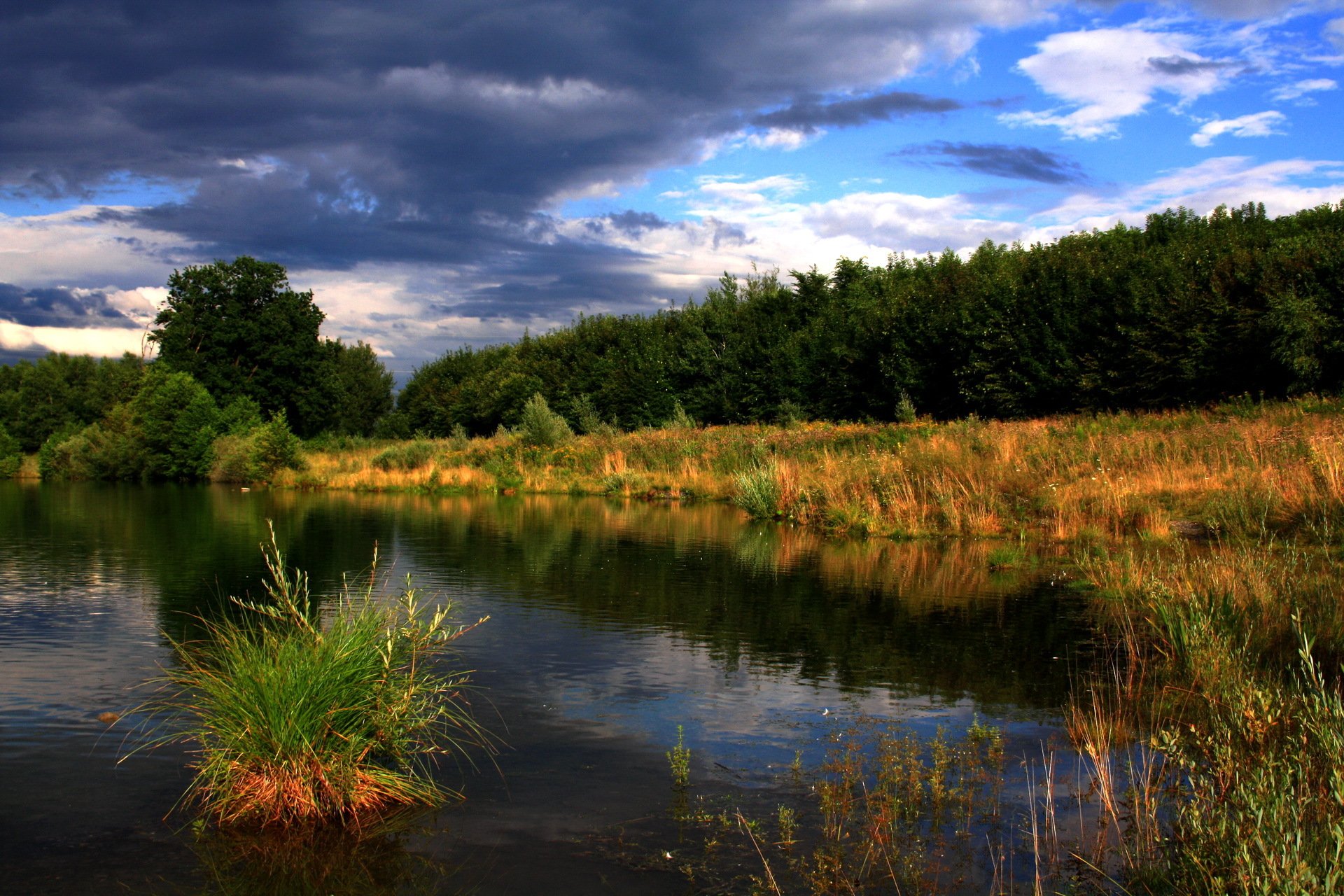 natura rzeka drzewa niebo chmury