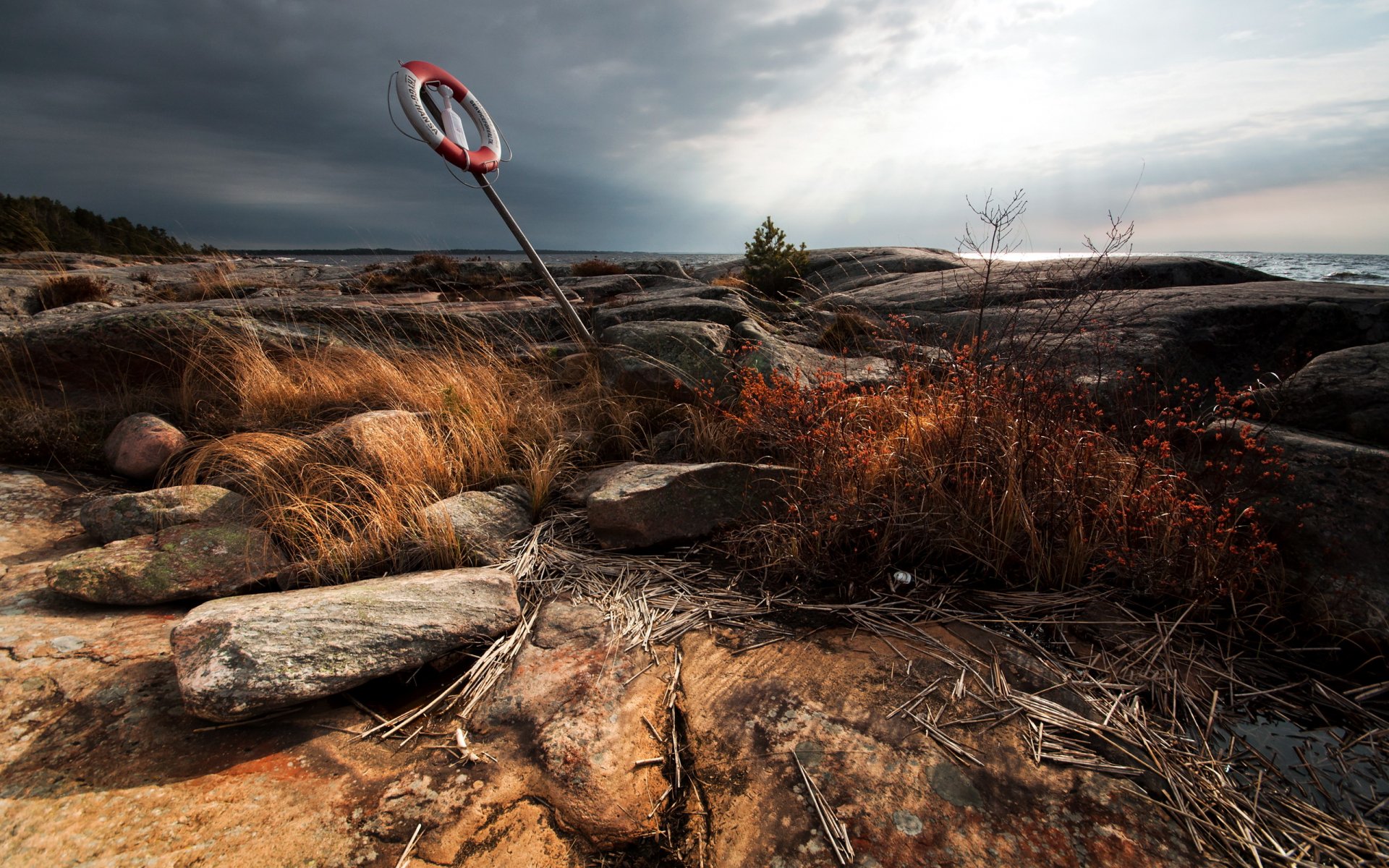 ea beach nature landscape