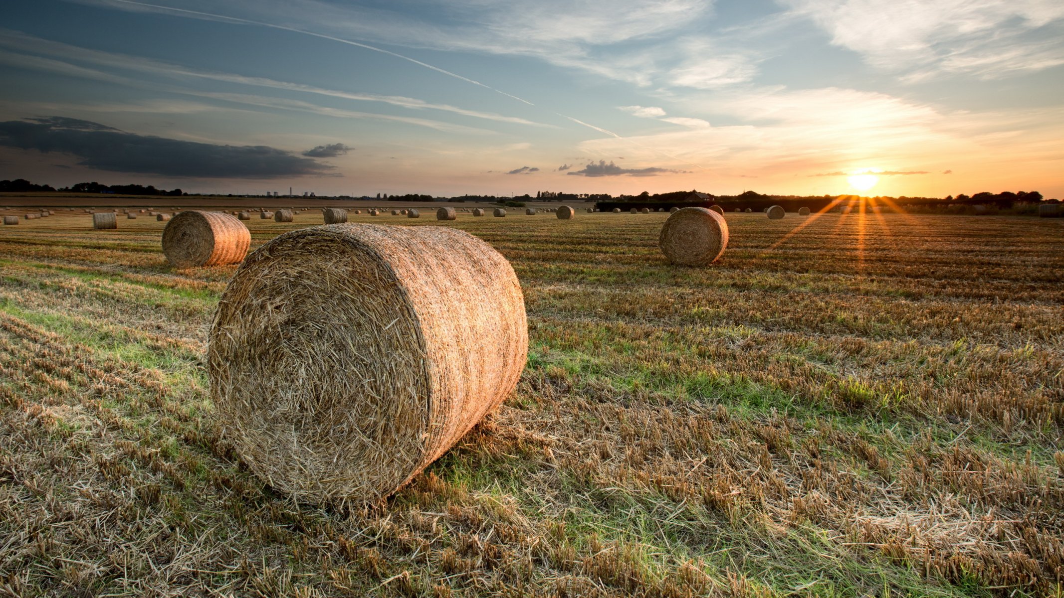 campo fieno tramonto paesaggio