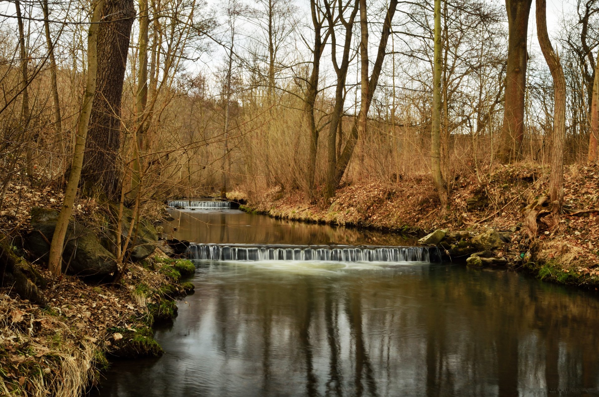 inizio primavera fiume rotoli foresta alberi