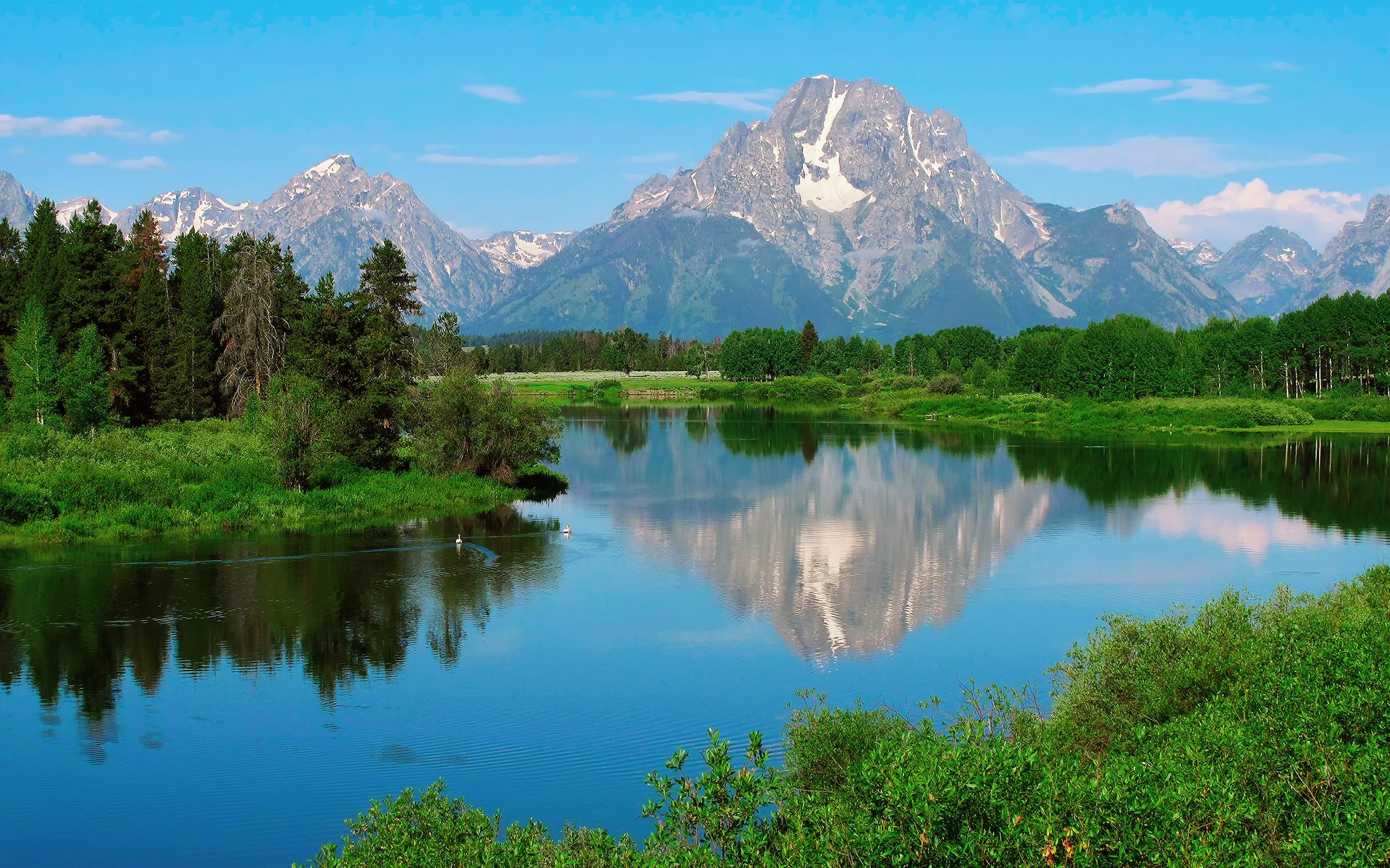 usa wyoming grand teton nationalpark mount moran natur sommer-frühling wald wasser enten reflexionen