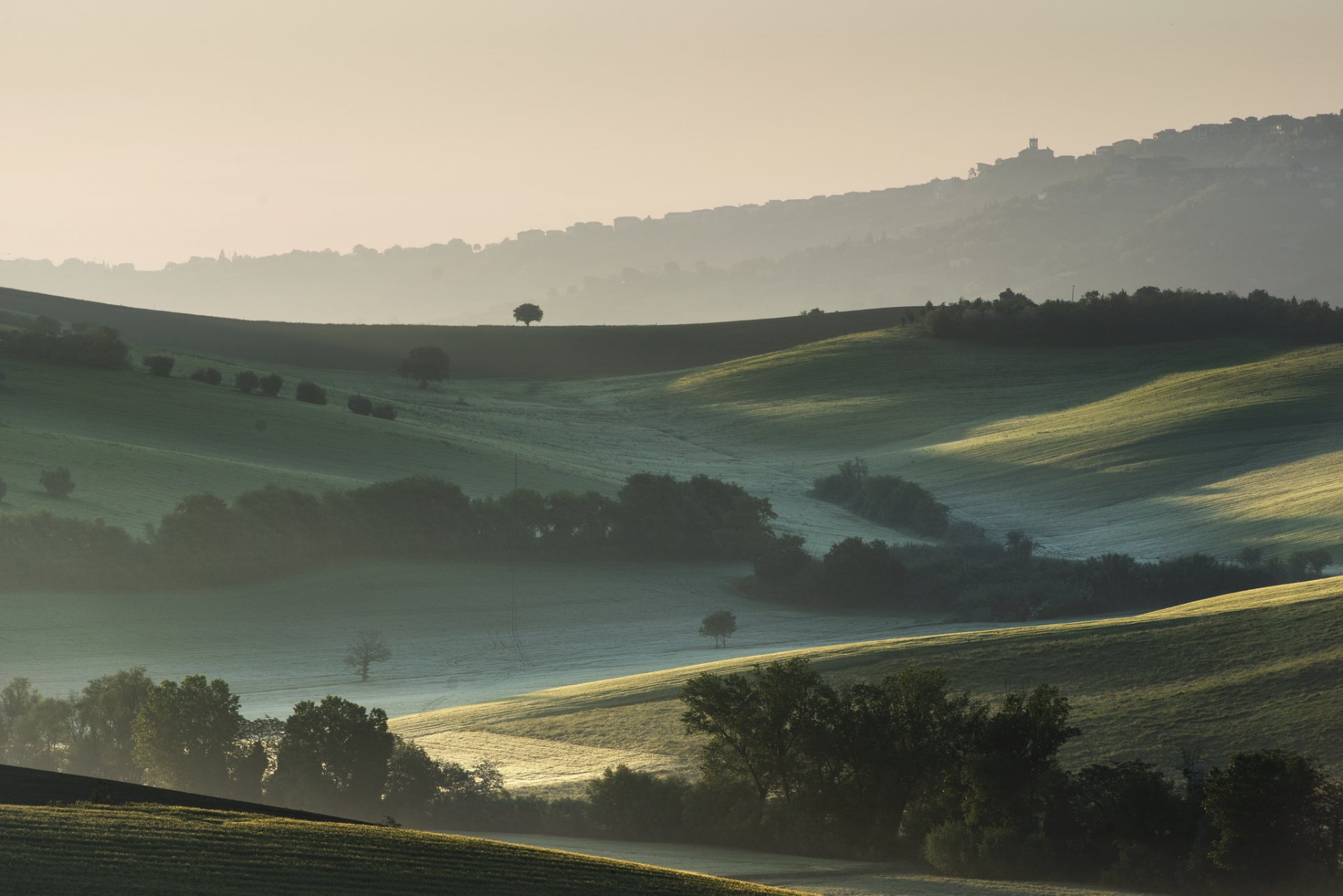 italia colline alberi campi nebbia mattina