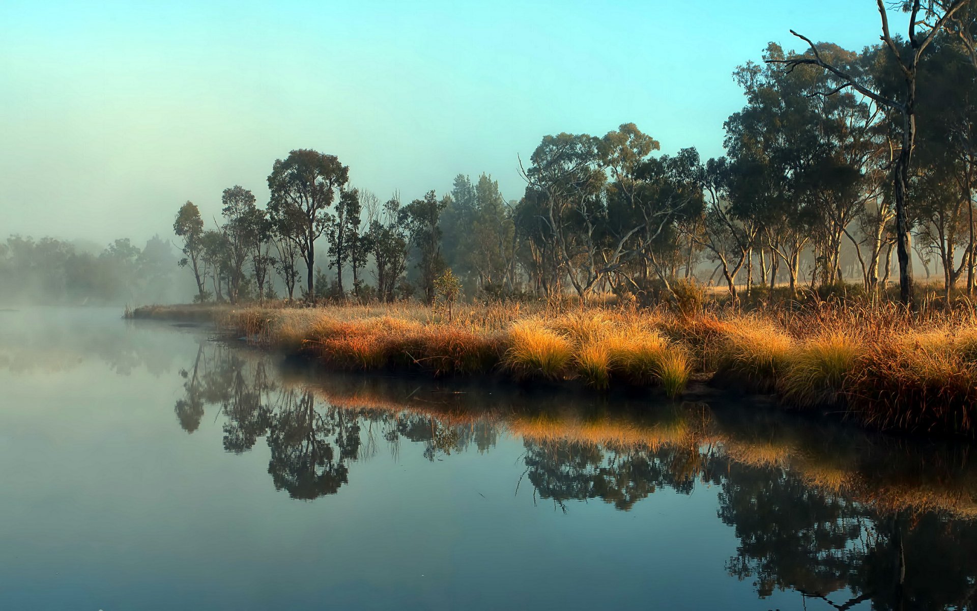 fiume natura paesaggio