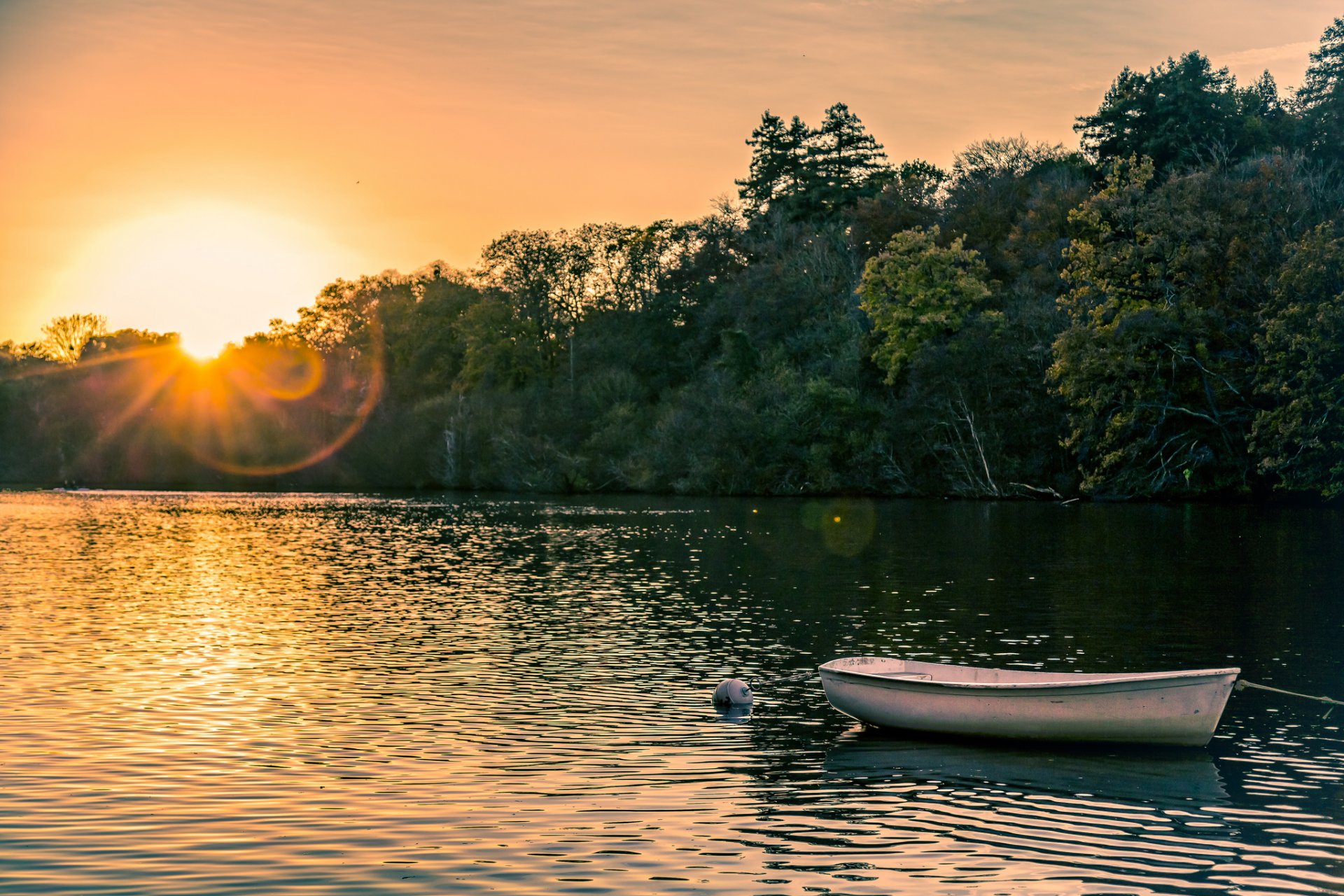 bosque cuerpo de agua barco puesta de sol verano