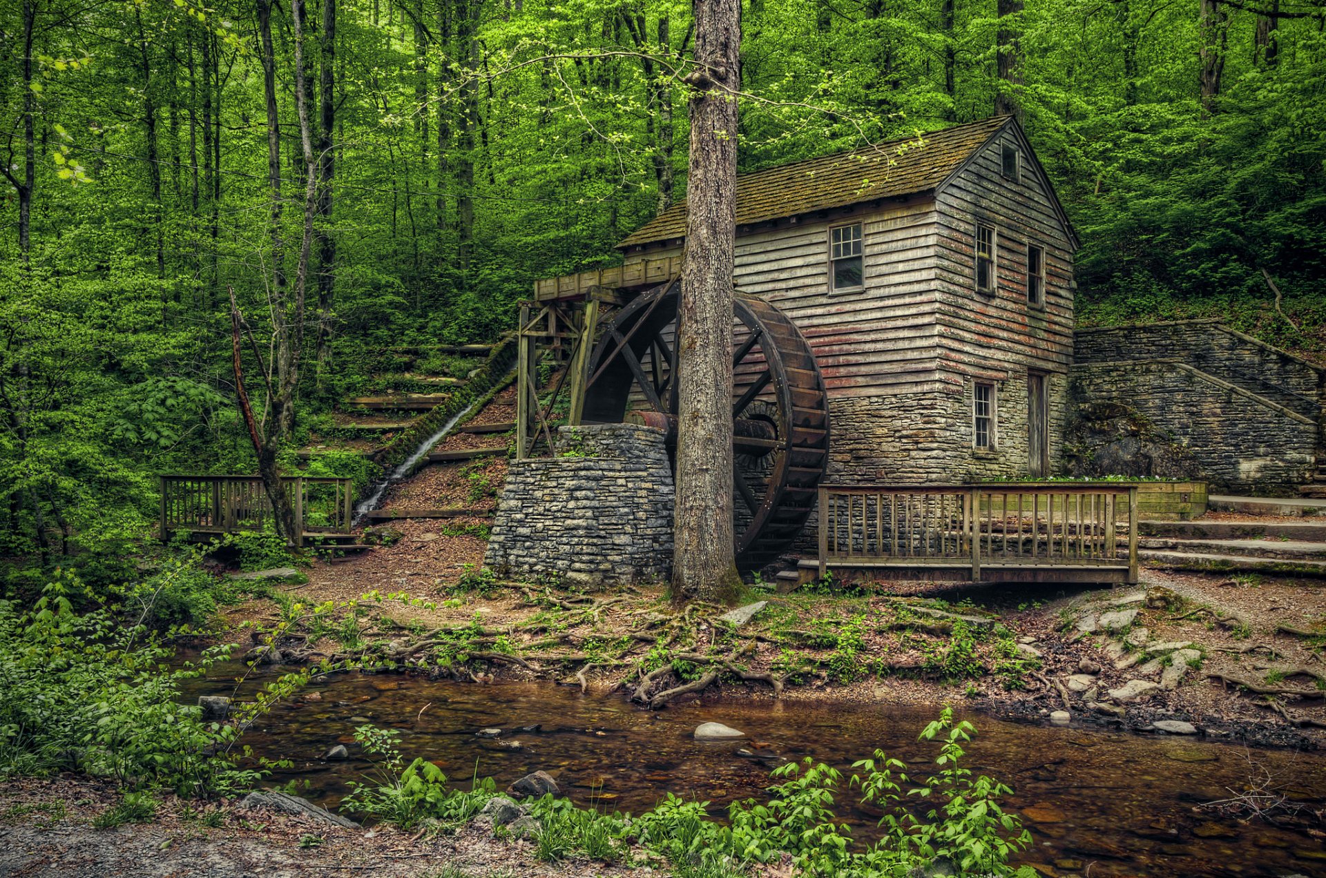 stati uniti tennessee norris dam state park vecchio mulino