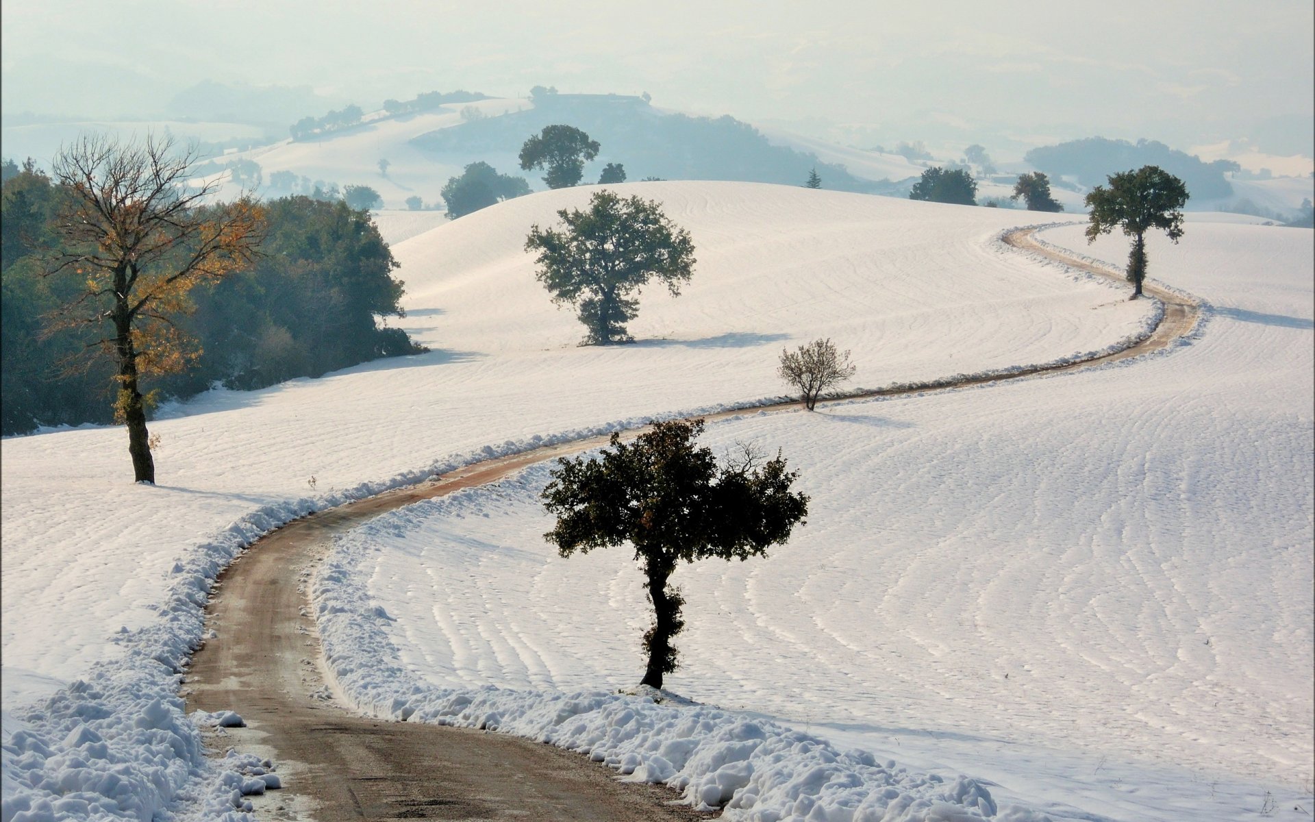 campo camino nieve paisaje