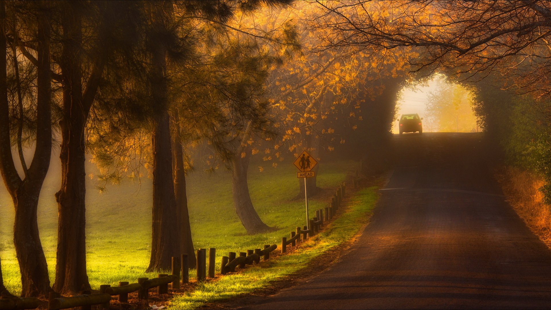 morning road fog landscape