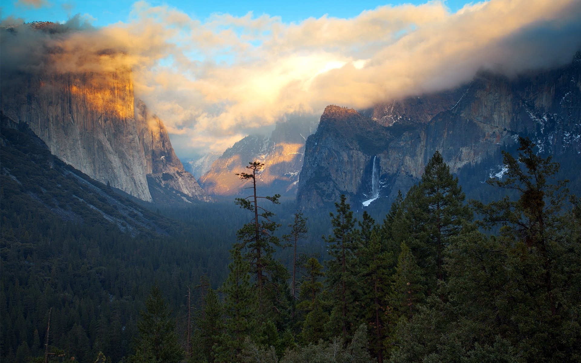 vereinigte staaten von amerika kalifornien foresta