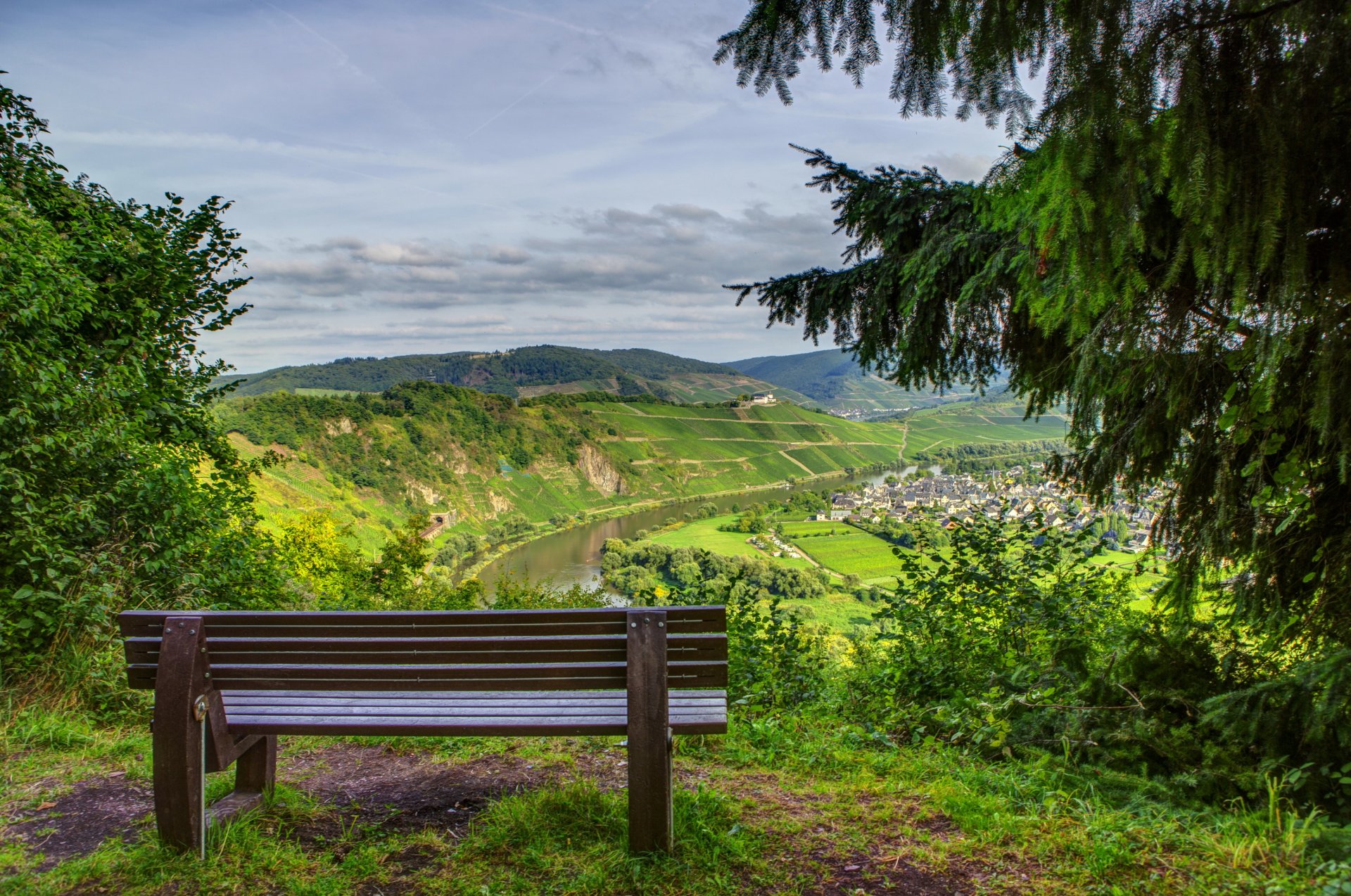 natur wald berge horizont fichte bank landschaft foto