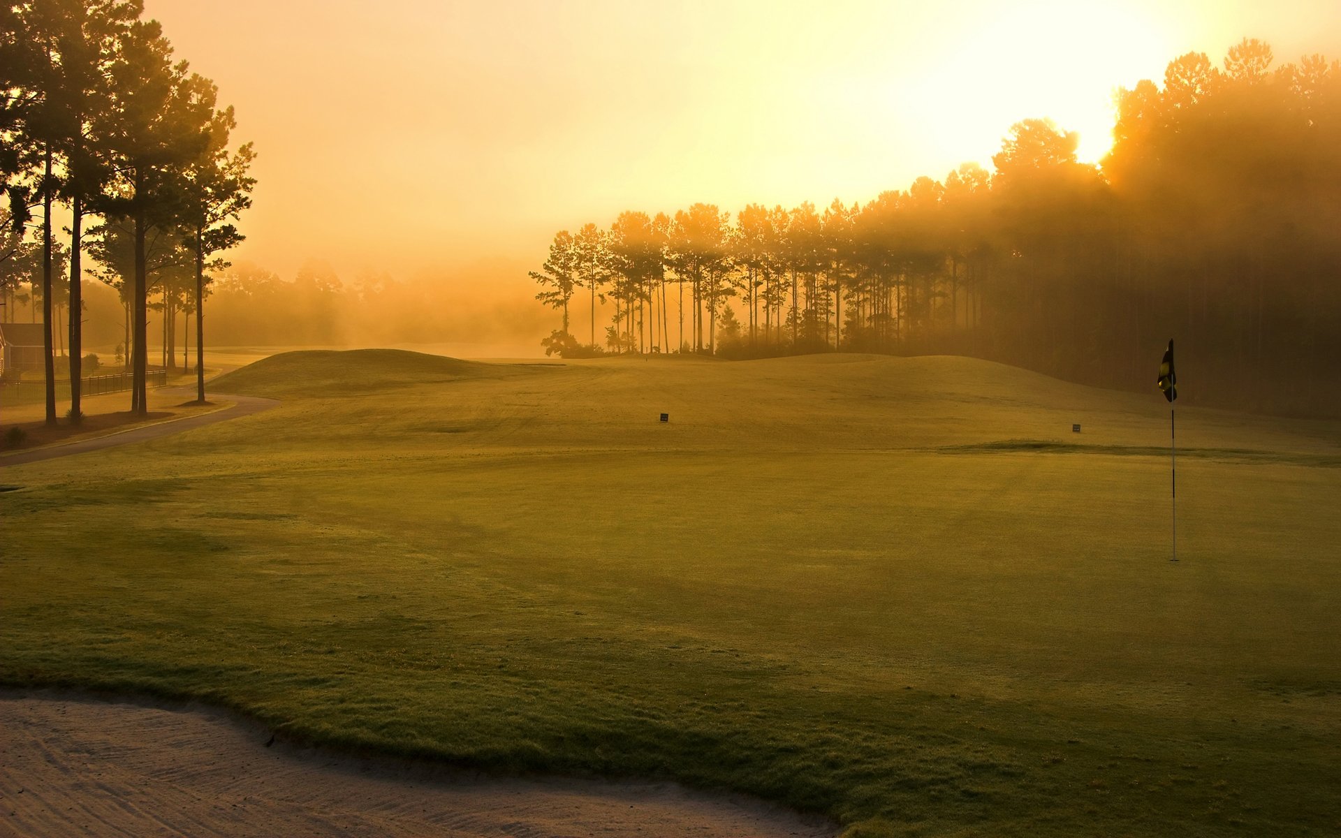 campo da golf erba alberi