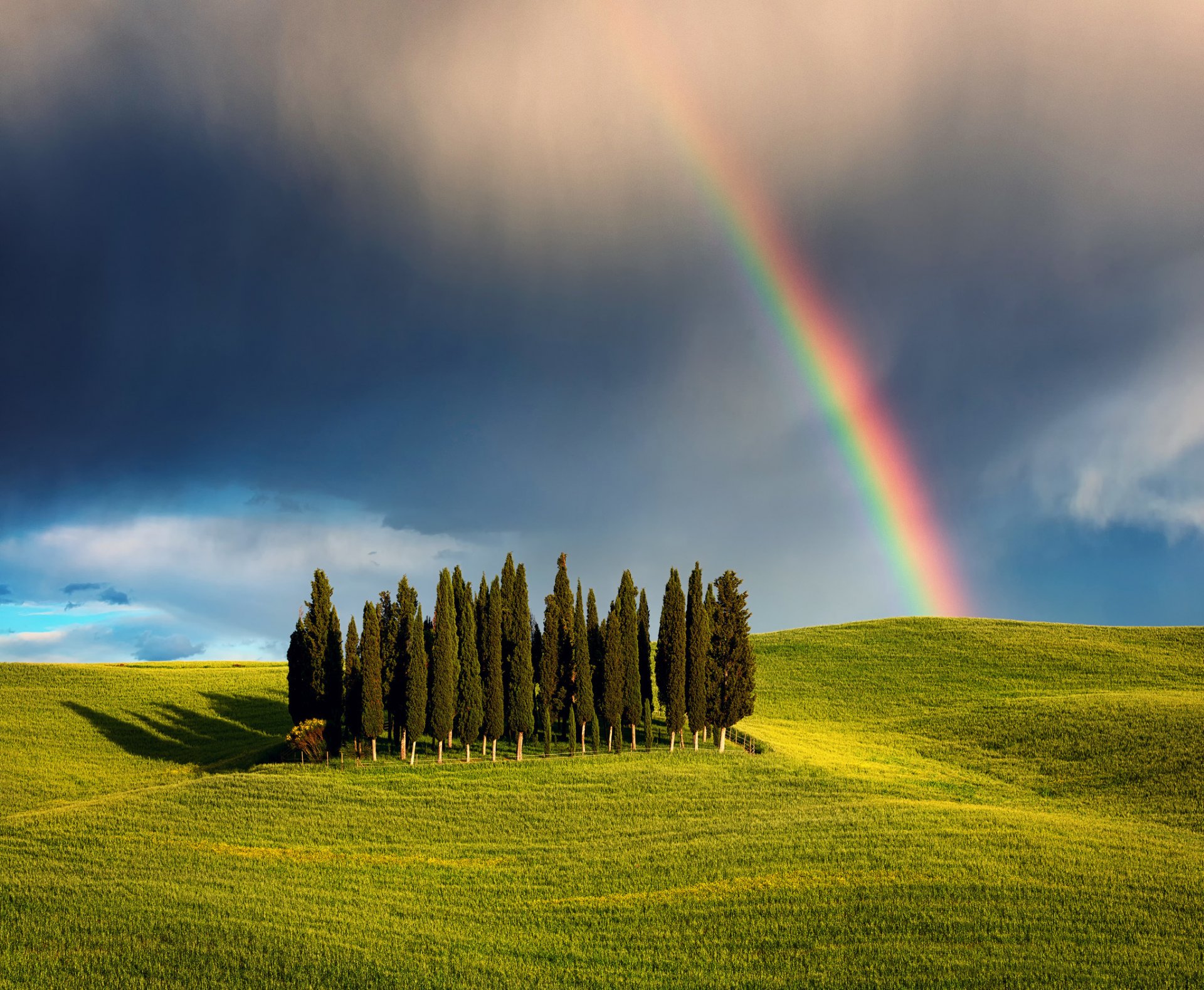 italia toscana collina di cipressi boschetto natura campi alberi cielo nuvole nuvole arcobaleno primavera maggio