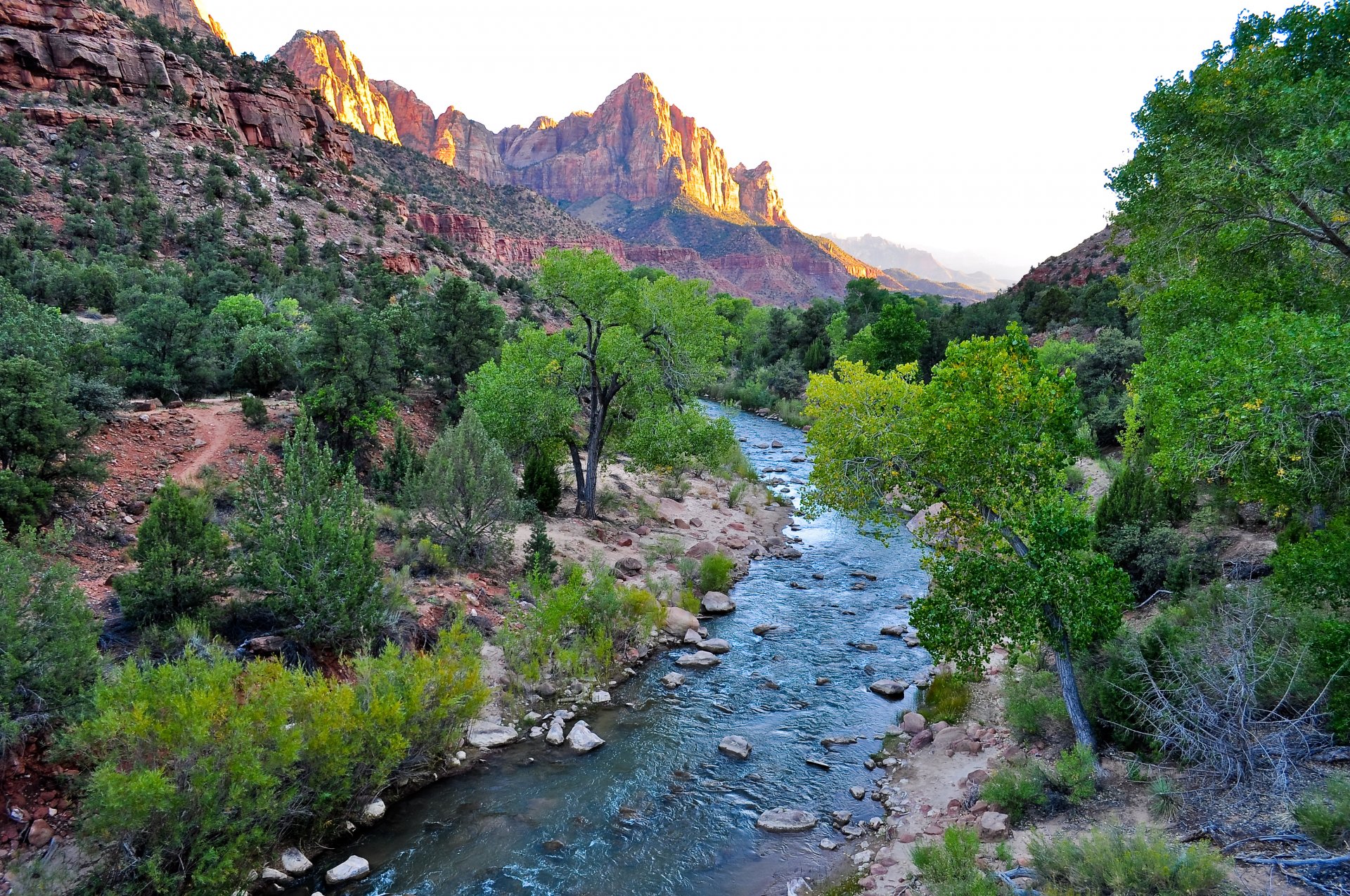 park narodowy zion park narodowy zion utah usa kanion zion skały skały piaskowce navajo pomalowane na czerwono i brązowo rzeka virginia drzewa krzew niebo