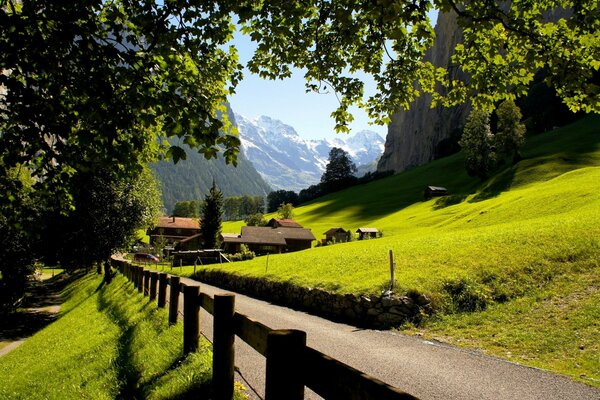 Strada per il villaggio di Gornaya con campi