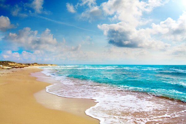 Mer d émeraude dans un paradis tropical