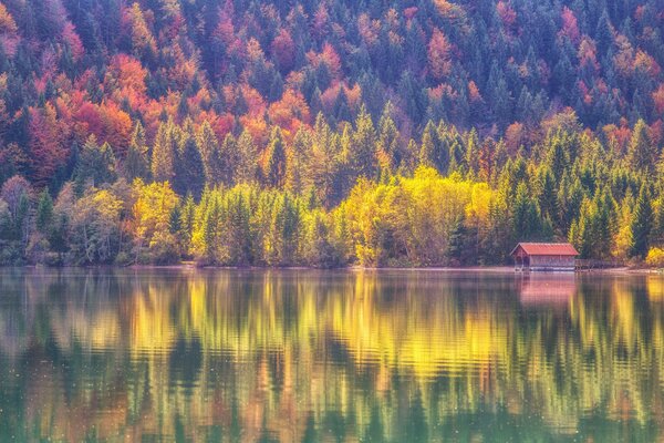 Automne. Lac. Maison. Eau