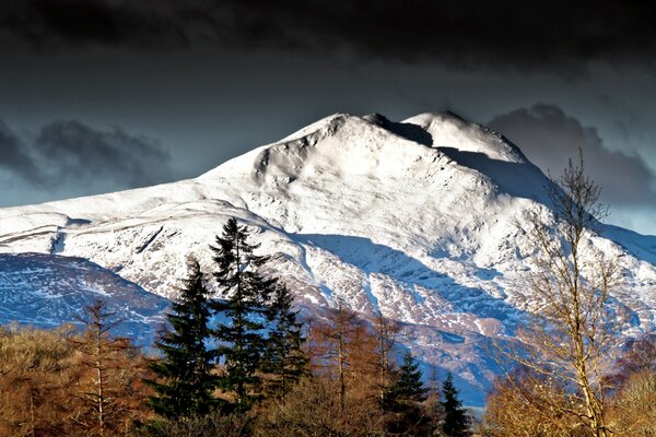 Berggipfel. Schnee und Bäume