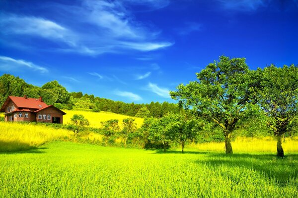 Champ vert vif avec de l herbe. La maison se trouve dans un champ avec des arbres