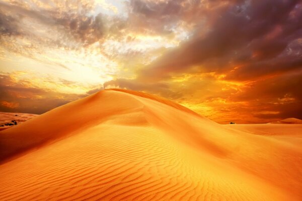 Arenas del desierto hermoso paisaje