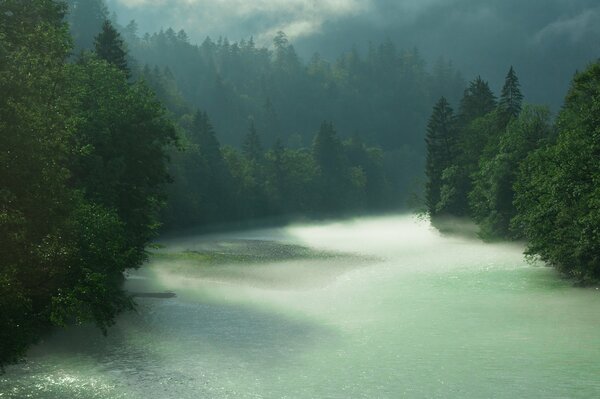 Río en el bosque de Berchtesgaden en Baviera en tiempo lluvioso