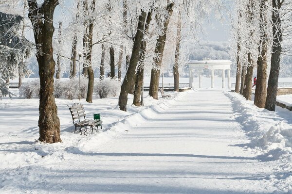 Ein klarer Wintertag im Park