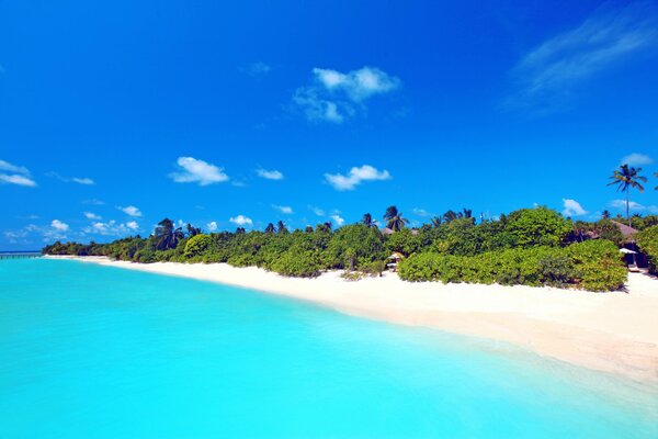 Bungalow sulla spiaggia alle Maldive