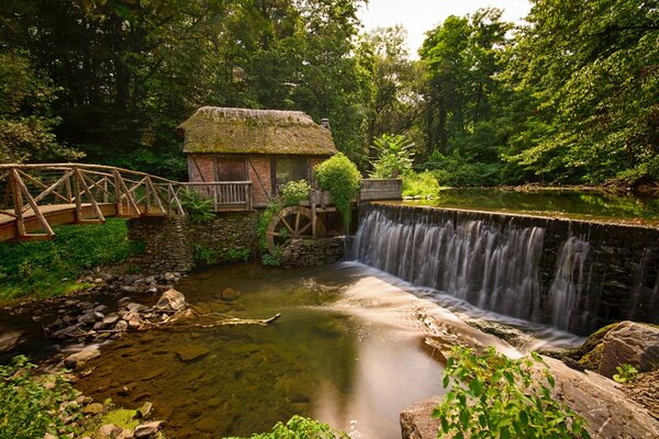 Fabuleux pont sur la rivière dans la forêt