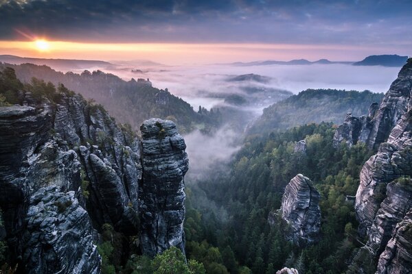 Mit einem Gestein aus dem Nebel . Landschaft sächsische Schweiz