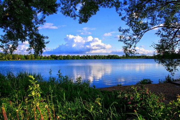 A cloud in the blue sky framed by trees and water