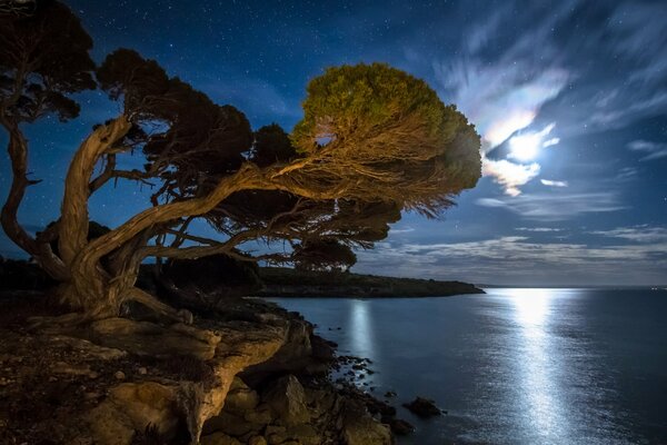 Reflejo de la luz de la Luna en la bahía