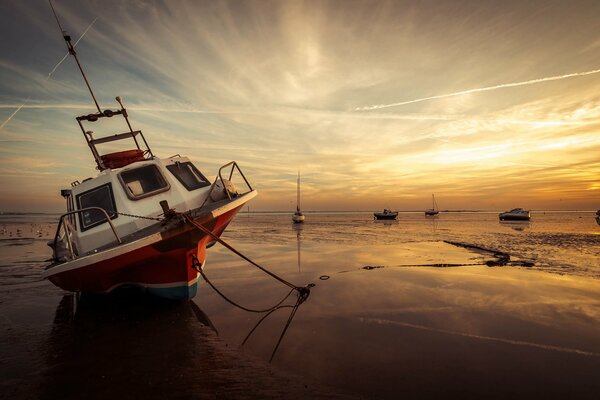 Yachts. Water. Sunset. Sky