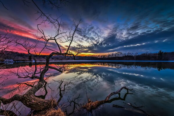 Rosa-blauer Sonnenuntergang am See