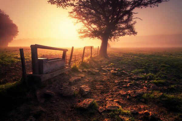 El sol ilumina el horizonte en una mañana brumosa