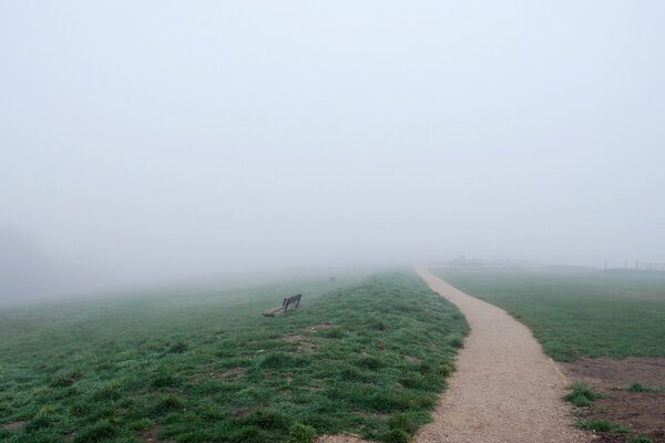 Sur le chemin du champ, il y a un banc et un brouillard