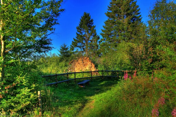 Deutschland Hessen Landschaft mit Bank