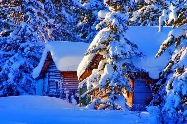 Maison et mangé dans la neige photo