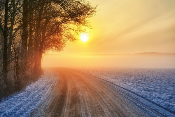 Winter teuer durch den Wald bei Sonnenuntergang