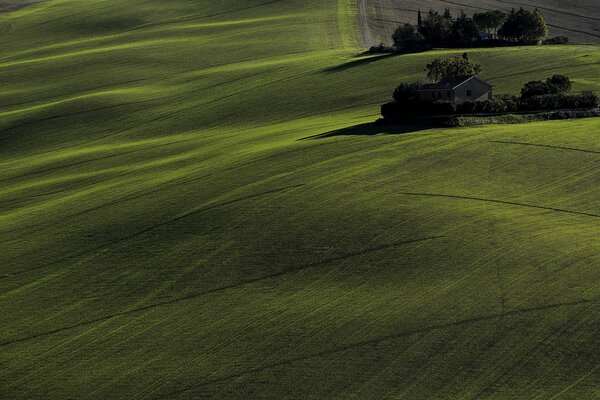 Campos verdes con una casa en los árboles