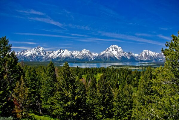 Berge Fluss Bäume Landschaft