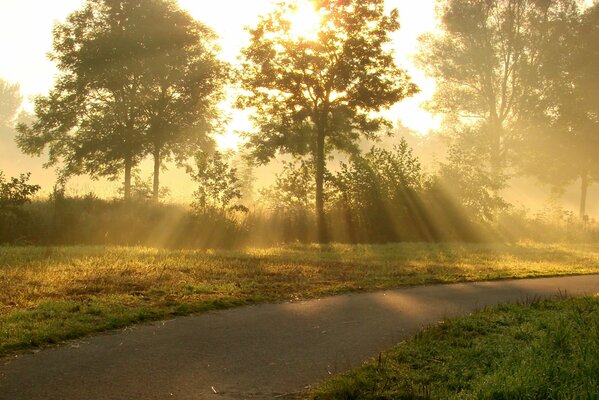 Summer sun rays illuminating the road